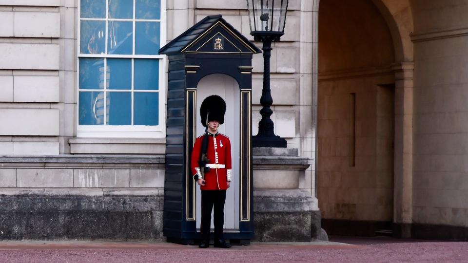 Buckingham Palace’s guards are actually allowed to use force