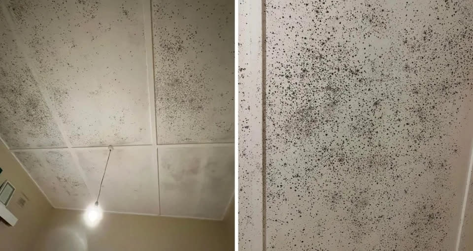 Mould on an Aussie renter's ceiling.