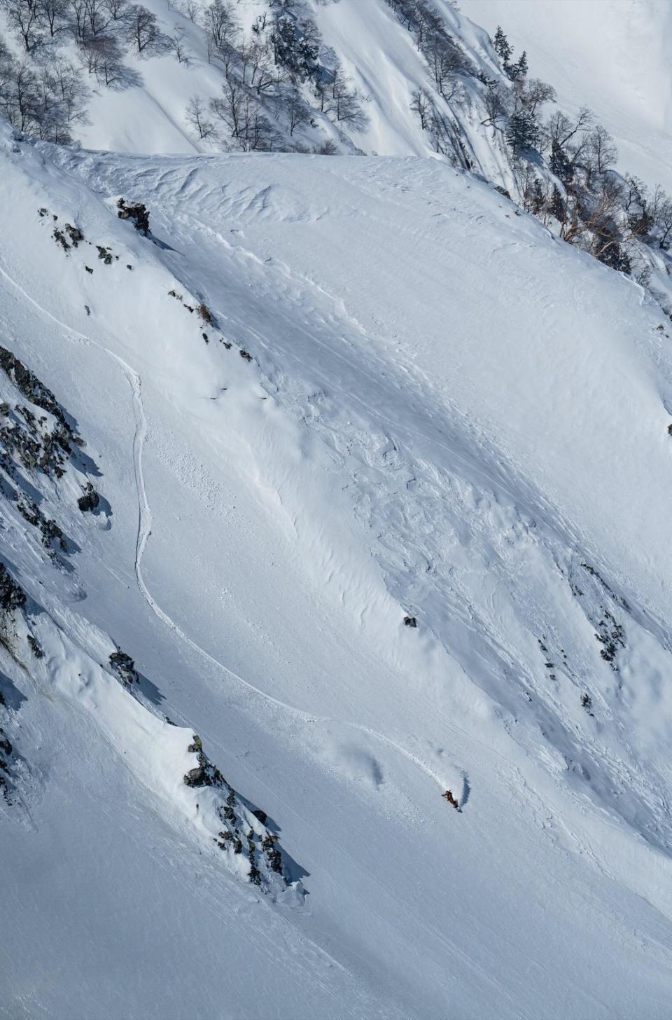 （圖片提供：白馬八方尾根滑雪場）