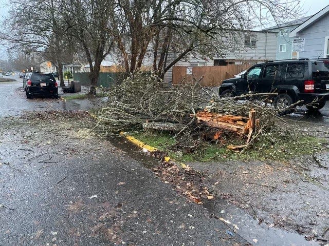 Strong winds blowing through the Willamette Valley Tuesday, Dec. 27, 2022 cause tree limbs to come down throughout the day.