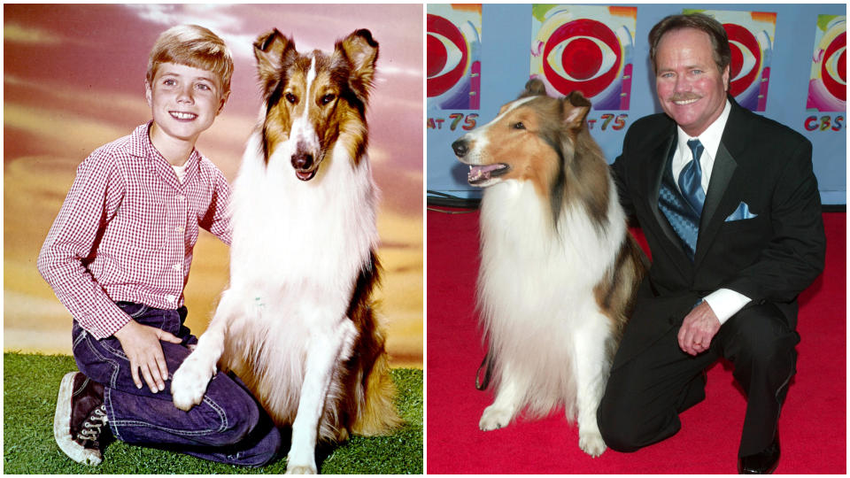 Jon Provost and Lassie