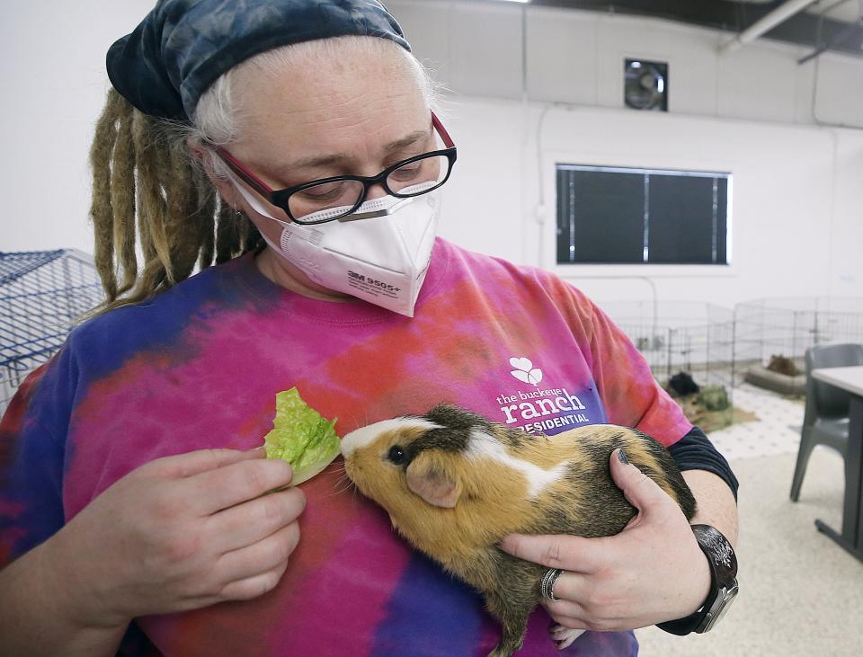 Melody White, a group therapist at the Buckeye Ranch, gives Patches a treat Jan. 26. Patches is one of several animals in the animal-therapy program at the Buckeye Ranch campus in Grove City.