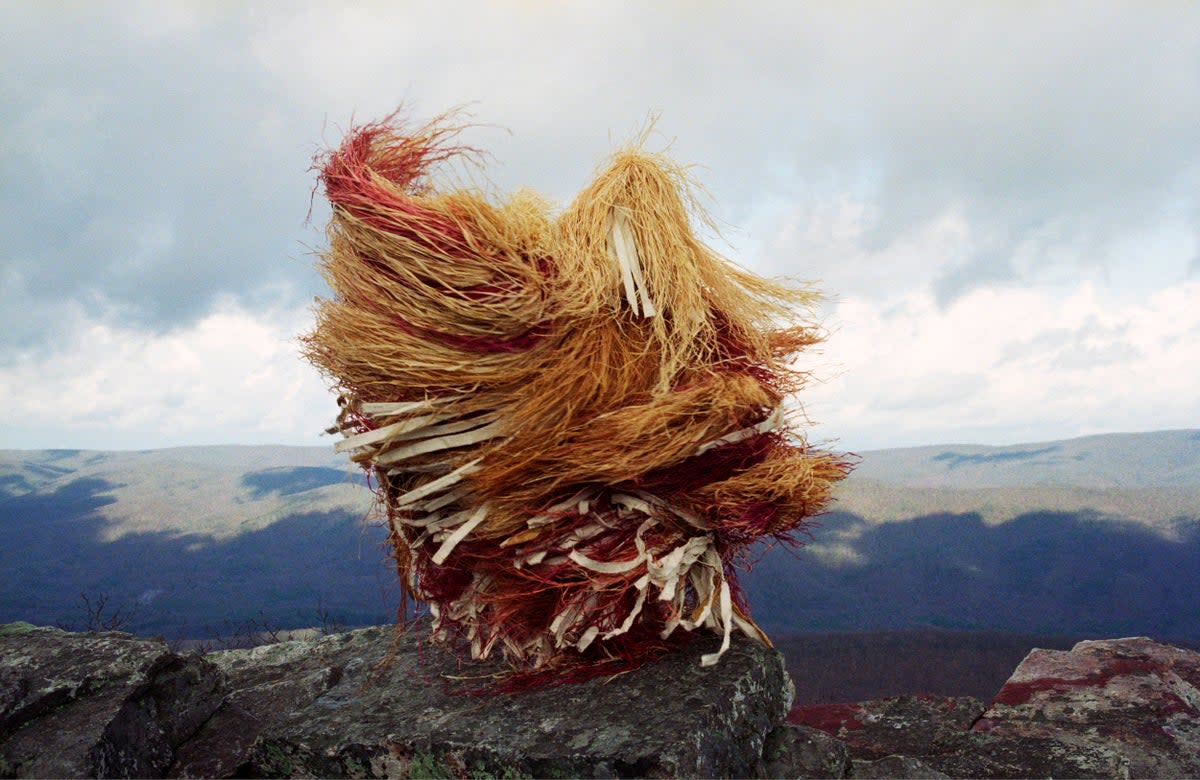 Fern Shaffer, Nine Year Ritual of Healing - 9 April, 1998, 1998 (Fern Shaffer)