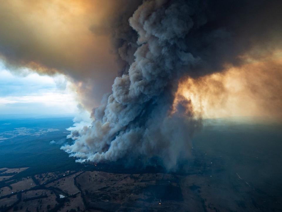 A staggering 1 billion animals were killed in the Australia bushfires at the start of the year: EPA