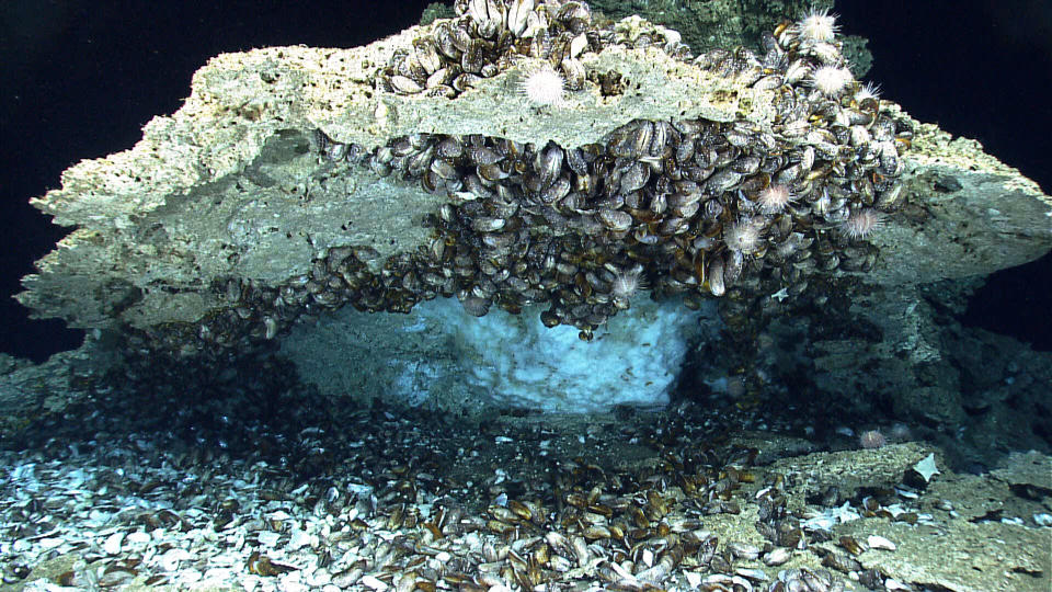 Methane hydrate, a frozen form of methane gas, at one of the many cold seeps off the U.S. Atlantic coast. Hydrate is widespread in the deep ocean and sequesters as much as 20% of all carbon on Earth. (Photo: NOAA Office of Ocean Exploration and Research)