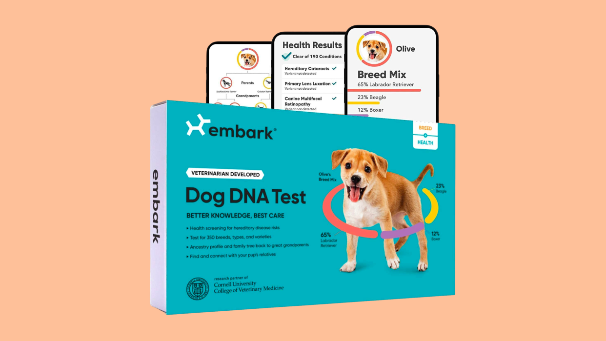 Get one of the best dog DNA tests for a more wallet-friendly price with this Amazon deal.