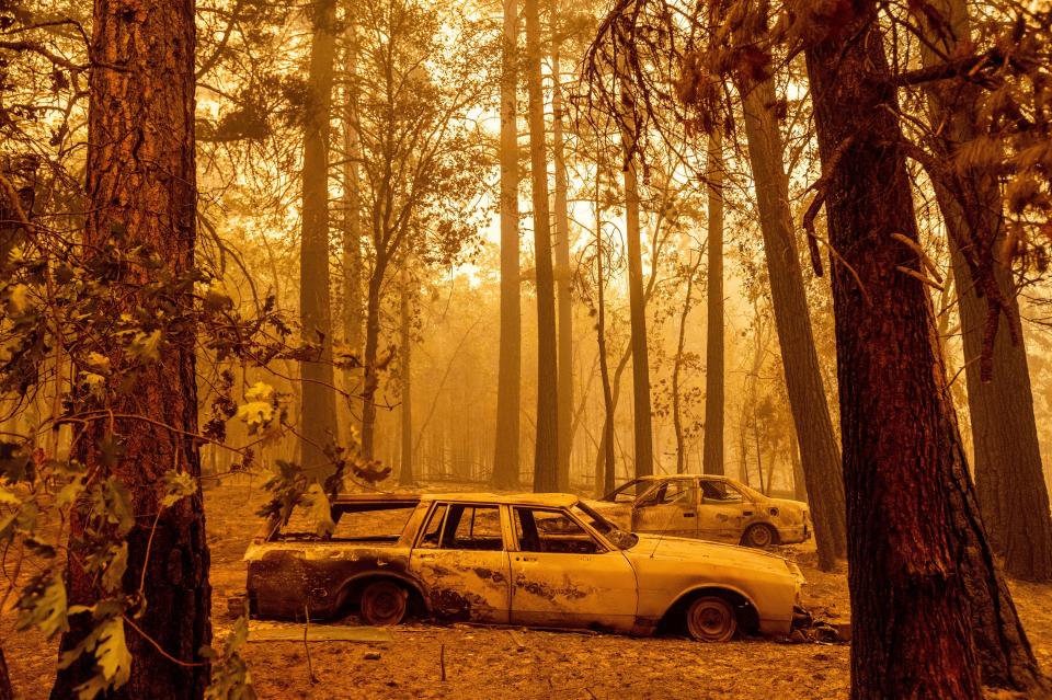 Fire scorched cars in a clearing in the Indian Falls community of Plumas County, Calif., on July 25.