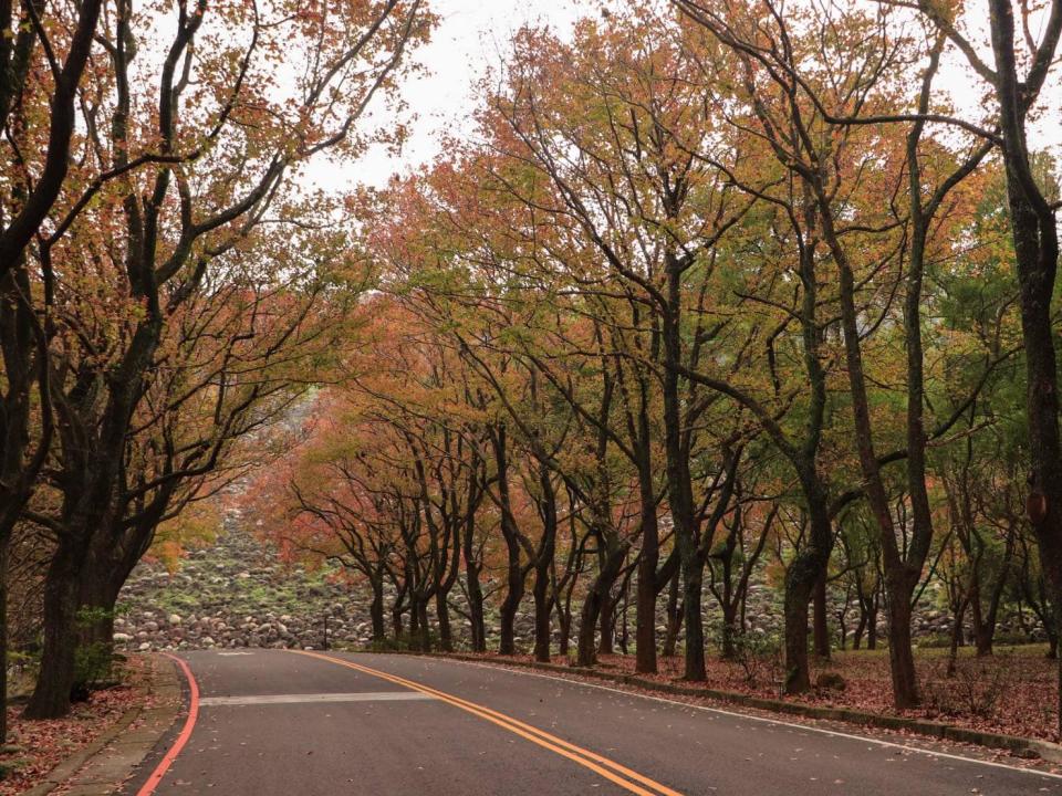 全台賞楓景點推薦｜石門水庫居然也是內行人的賞楓秘境！（圖片來源：石門水庫官方FB）