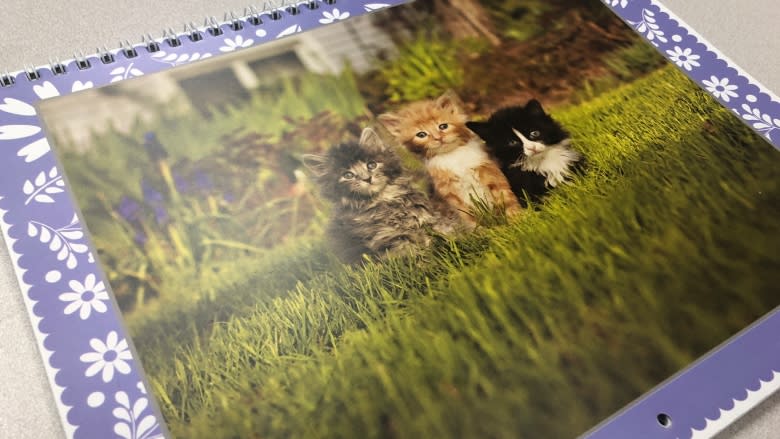 Kitty calendar created to help fund P.E.I. cat rescue