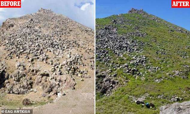 Diferencia entre el aspecto que tenía la isla de Redonda antes (izqda) y después (dcha) de eliminar a las especies invasoras. (Crédito imagen: EAG Antigua).