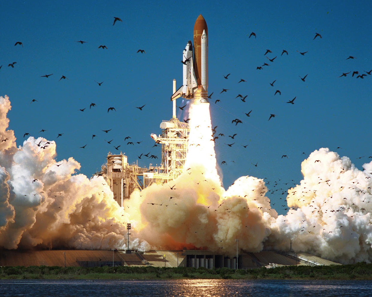 A flock of birds scatters amid billowing clouds of steam, as the Challenger lifts off from Kennedy Space Center.