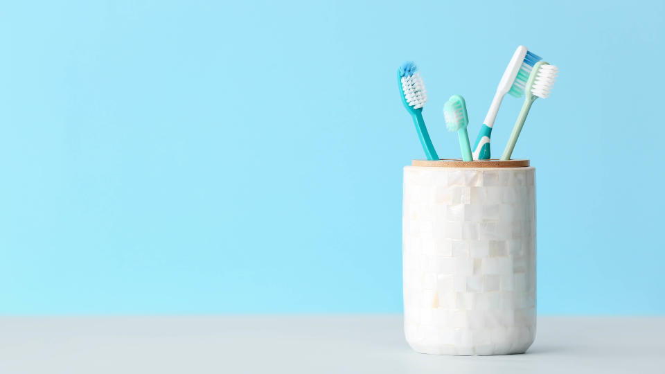 Four manual toothbrushes in a holder