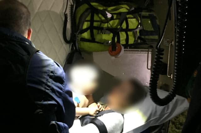 Family Rescued After Dingo Drags Child From Campervan on Fraser Island, Queensland