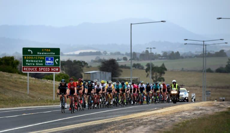 The peloton competes during stage one of the Herald Sun Tour cycling race, Healesville to Healesville, in Victoria, southern Australia, on February 4, 2016