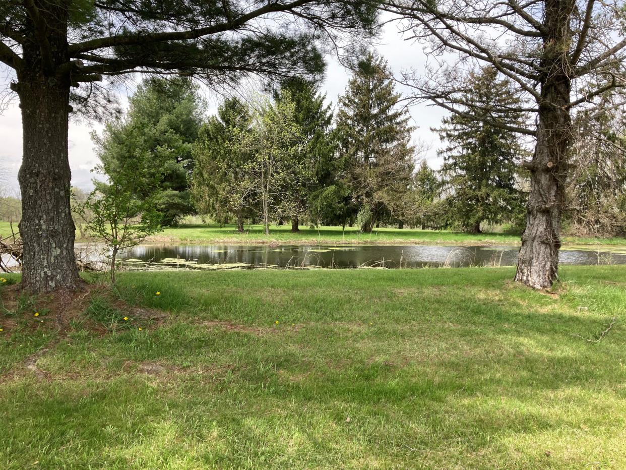 The Etna Township trustees voted during their April 18 meeting to drain and fill in this pond on township-owned land on Smoke Road. But officials with the Licking County Soil and Water Conservation District say it is on the U.S. Fish and Wildlife Service's National Wetlands Inventory.