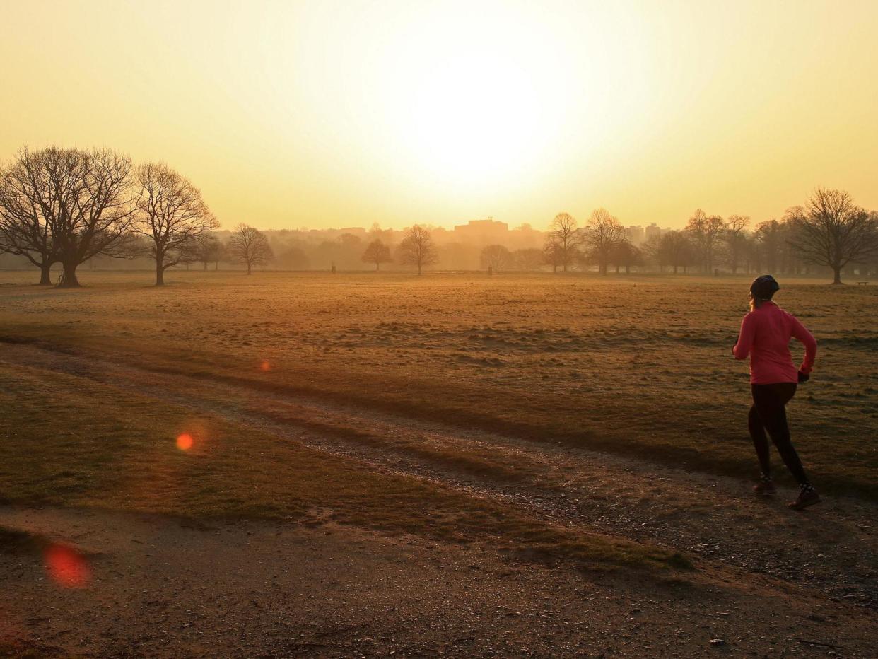 The UK is forecast for sunny weather during its second weekend in lockdown: Andrew Redington/Getty Images