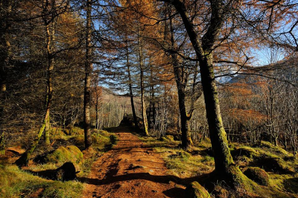 West Highland Way, Scotland