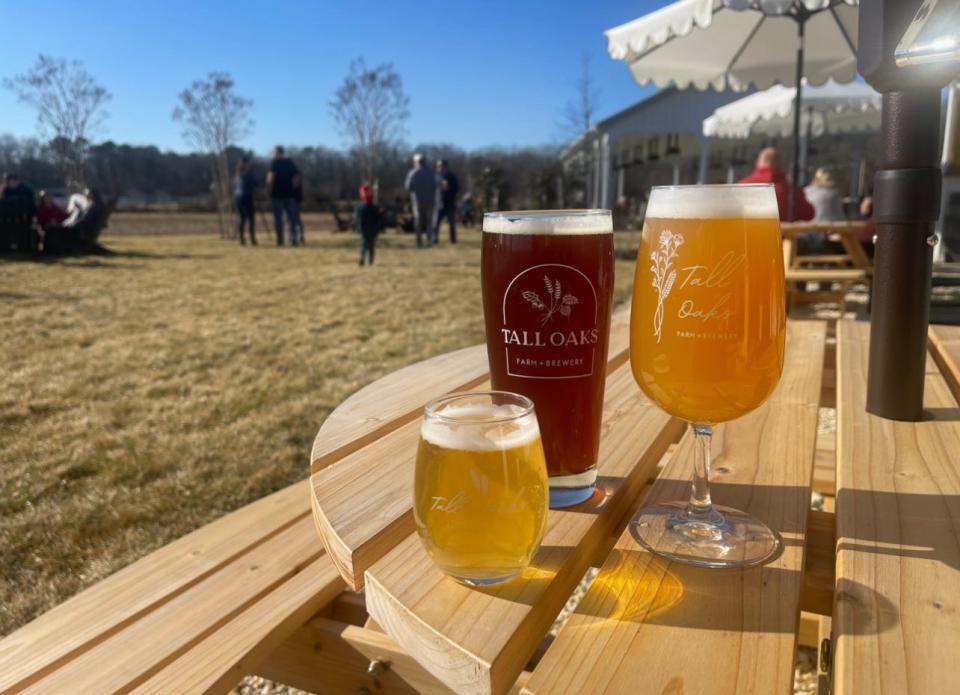 Petal (left to right), a rustic ale; Cultivator, a Dopplebock Lager; and Open Field, an American IPA, at Tall Oaks Farm + Brewery in Farmingdale.