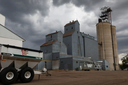 A grain elevator is seen just behind the Union County Courthouse in Elk Point, South Dakota, U.S. June 3, 2017. Picture taken June 3, 2017. REUTERS/Ryan Henriksen