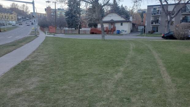 Tire tracks can still be seen on the green space in Bridgeland where a pedestrian was killed Tuesday by an alleged drunk driver who veered off the road and struck the victim head-on. (Robson Fletcher/CBC - image credit)