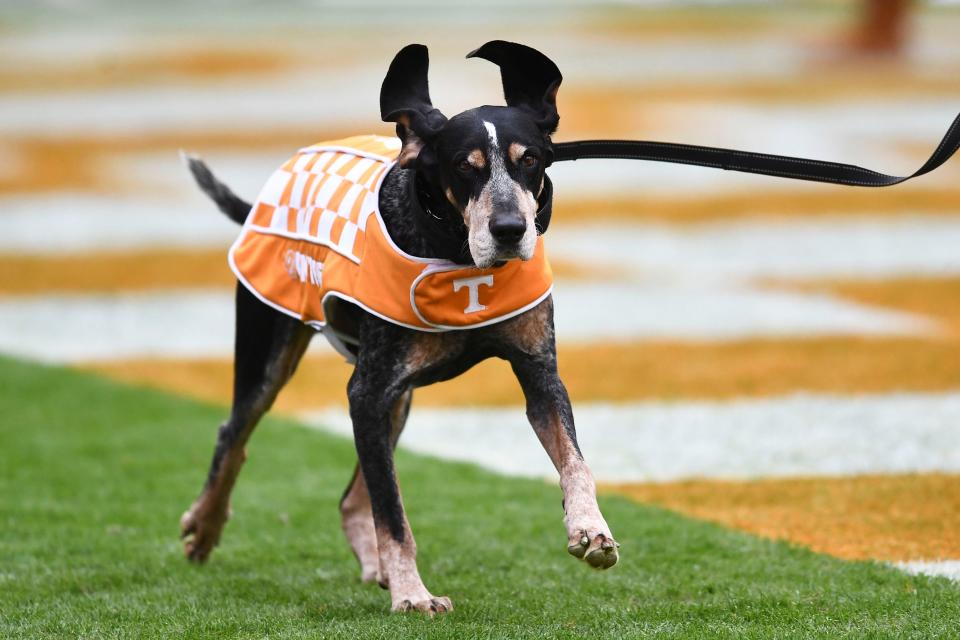 Smokey, the Tennessee mascot, was all Maleah needed to see to pick the Volunteers to make a run all the way to a national championship this year.