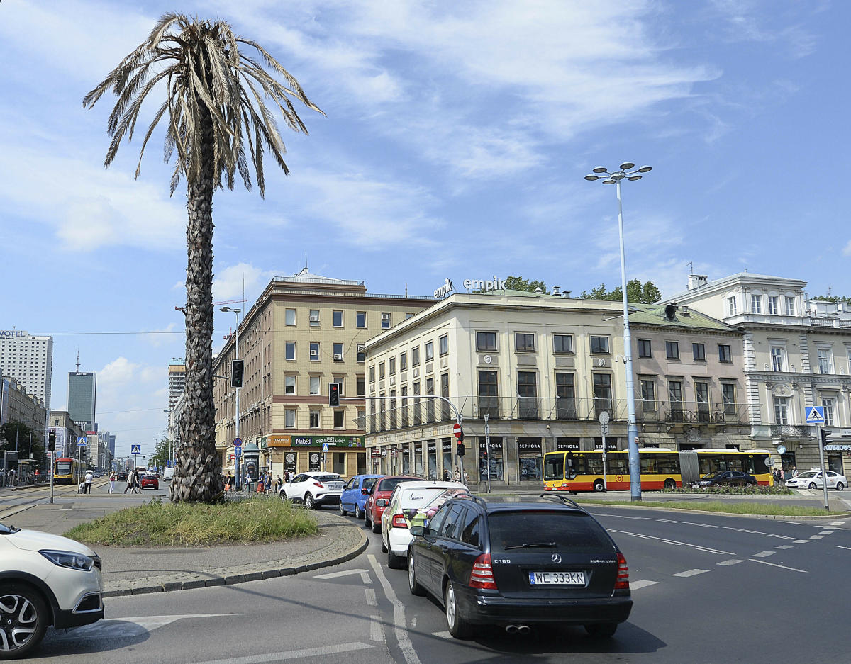 Warsaw’s plastic palm tree dies as a sign of climate threat