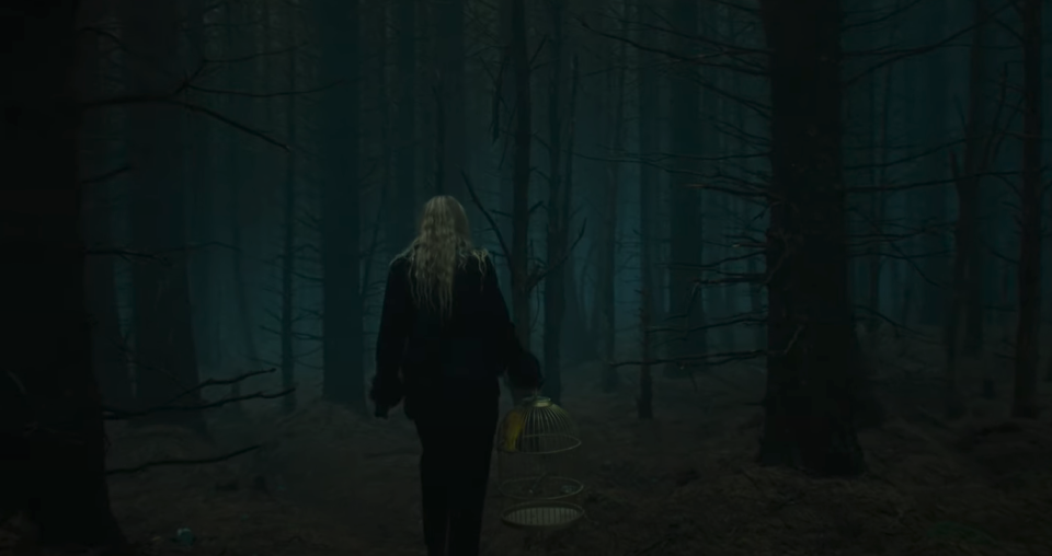 Dakota Fanning in 'The Watchers'