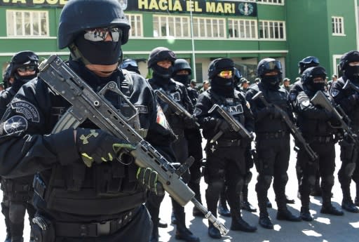 Members of Bolivia's GAT anti-terrorist unit stand guard as they are presented in La Paz, on December 3