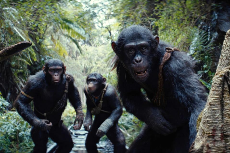 The opening for “Kingdom of the Planet of the Apes,” directed by Wes Ball, was the second best in the series. Disney