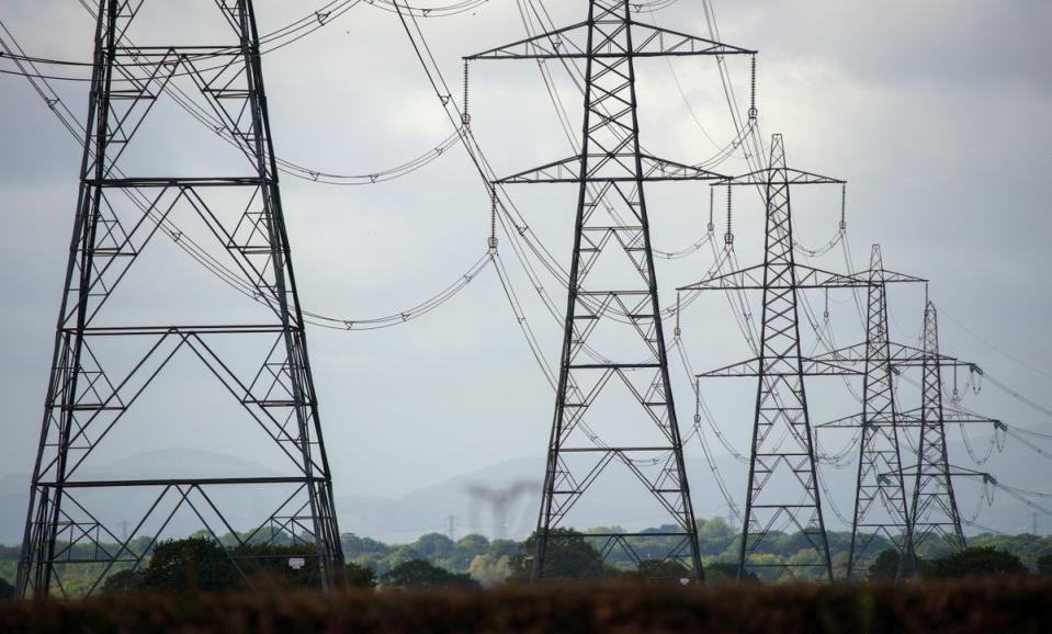 A view of electricity pylons in Cheshire (Peter Byrne/PA) (PA Archive)