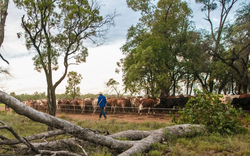 Working on a farm is a rite of passage for many young travellers -  Graham Jepson