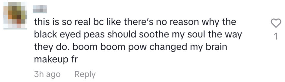 Commenter expresses how Black Eyed Peas' song "Boom Boom Pow" deeply resonates with them