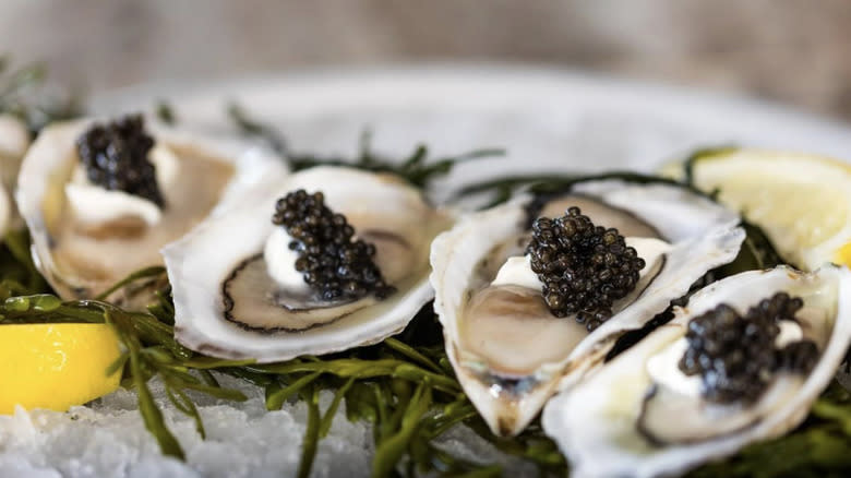 CRU Nantucket oysters