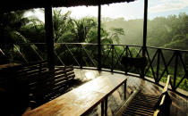 The Wildgrass forest resort, bathed in evening rain. Photo: Siddharth Dasgupta