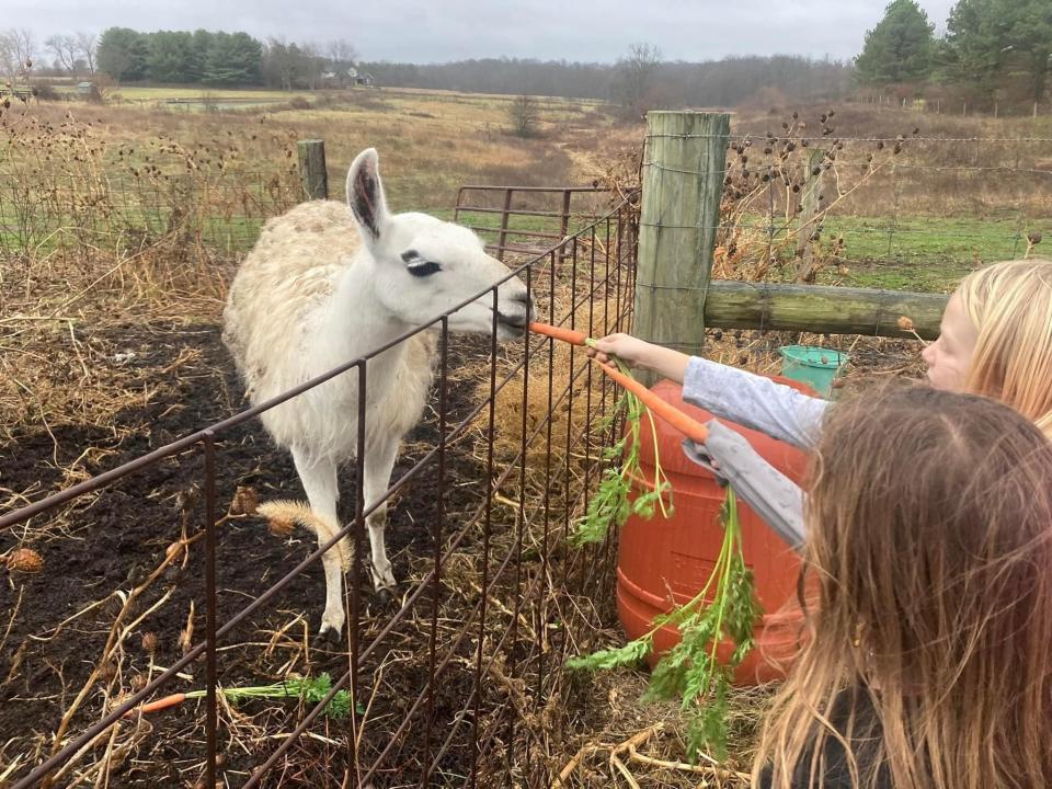 Benton Farm's Spring Fling Craft Show & Festival takes place May 18-19.