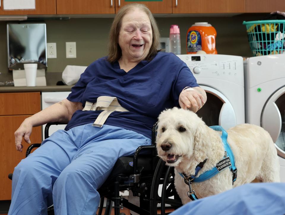 Karen Adams pets Cooper, a therapy dog, at St. Marks Hospital in Salt Lake City on Monday, June 12, 2023. The canine therapy program is resuming following COVID-19. | Scott G Winterton, Deseret News