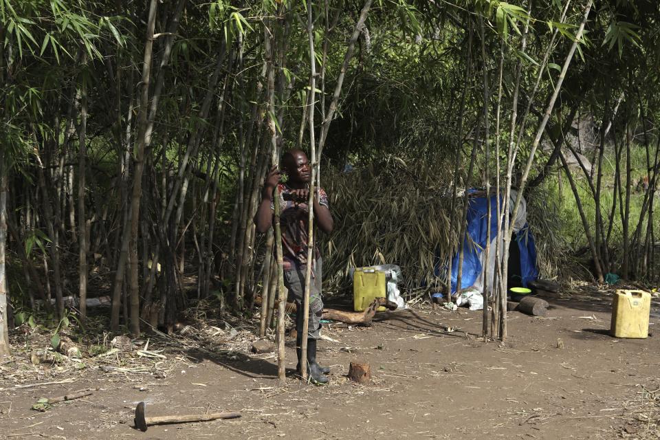 A charcoal burner stands amid bamboo trees in Gulu, Uganda, May 27, 2023. A small patch of bamboo opened up to an almost bare patch where trees were being cut, stumps still fresh here and there. (AP Photo/Hajarah Nalwadda)