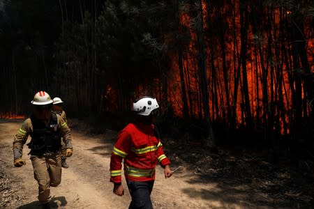 Firefighters help put out a forest fire near Macao