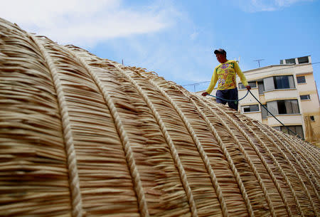 A Bolivian builder walks on top of the 'Viracocha III', a boat made only from the totora reed, as it is being prepared to cross the Pacific from Chile to Australia on an expected six-month journey, in La Paz, Bolivia, October 19, 2016. REUTERS/David Mercado