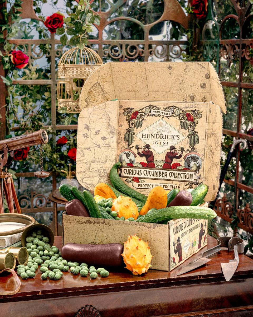 Hendrick’s Curious Cucumber Collection