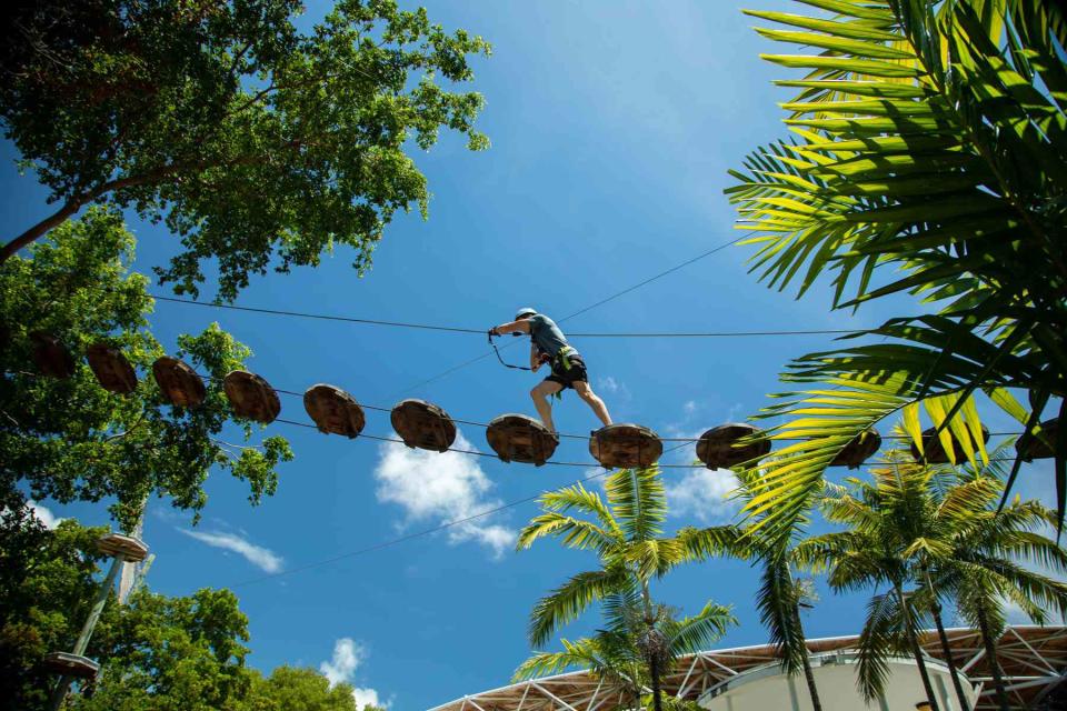 <p>Courtesy of  Treetop Trekking Miami</p>