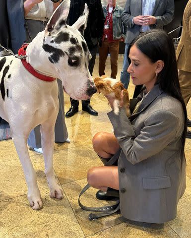 <p>Demi Moore/Instagram</p> Demi Moore introduces Pilaf to Bing