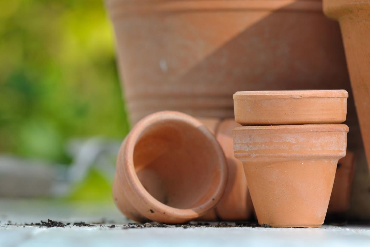 terra cotta pot