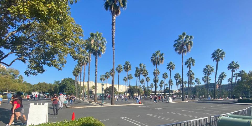 downtown disney line wait.JPG