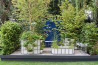 <p><strong>CONTAINER GARDEN</strong></p><p>Designed by Sara Edwards, , this garden’s aim is to create an urban pocket forest and haven for wildlife. It's inspired by the balconies of Milan’s Bosco Verticale and tiny urban forests utilising the Miyawaki method.</p>