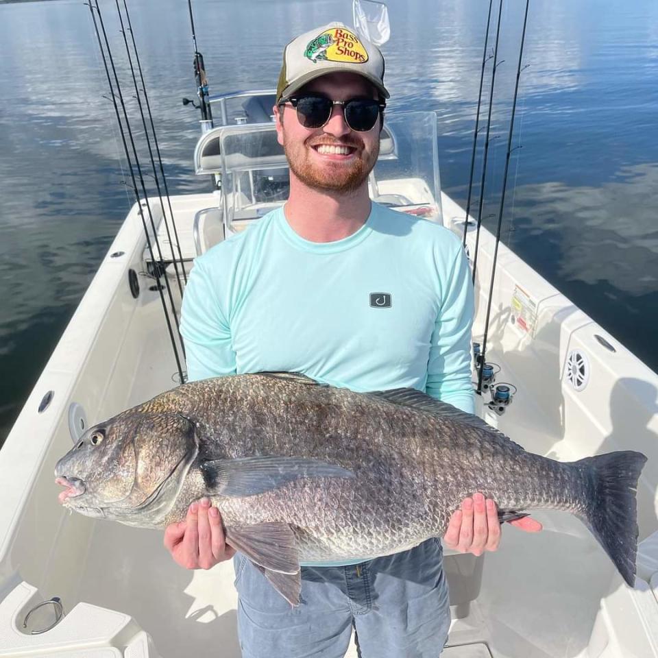 A customer caught & released this black drum Feb. 1, 2023 while fishing with Capt. Justin Ross of Fineline Fishing Charters in Rockledge.