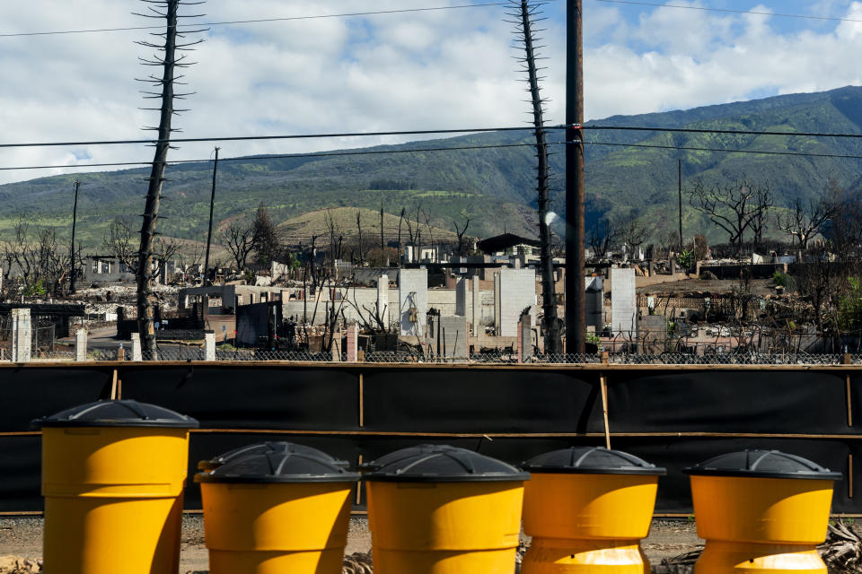 New fencing sections off areas of the burn zone as seen from Hawaii Route 30, Friday, Dec. 8, 2023, in Lahaina, Hawaii. Recovery efforts continue after the August wildfire that swept through the Lahaina community on Hawaiian island of Maui, the deadliest U.S. wildfire in more than a century. (AP Photo/Lindsey Wasson)