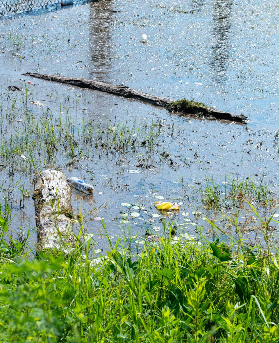 Trash in Locklin Lake in Milton on Monday, July 24, 2023.