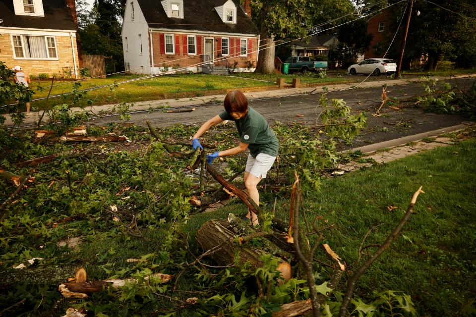 GAITHERSBURG, MARYLAND - JUNE 06: Sue Wu collects tree debris from her yard the day after a tornado swept through her Olde Towne neighborhood on June 06, 2024 in Gaithersburg, Maryland. The most significant twister events to strike Maryland in years, EF 2 or EF 3 tornados struck several communities in Montgomery County on Wednesday, knocking out power, up-ending trees, damaging structures and sending at least five people to the hospital. (Photo by Chip Somodevilla/Getty Images)