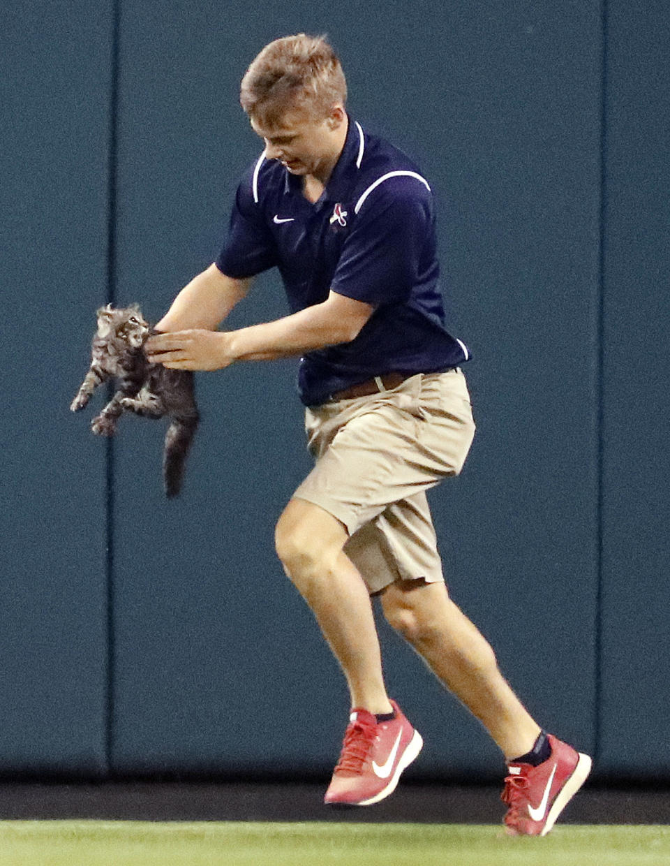 <p>A member of the Busch Stadium grounds crew removes a cat that had run onto the field during the sixth inning of a baseball game between the St. Louis Cardinals and the Kansas City Royals on Wednesday, Aug. 9, 2017, in St. Louis. (AP Photo/Jeff Roberson) </p>
